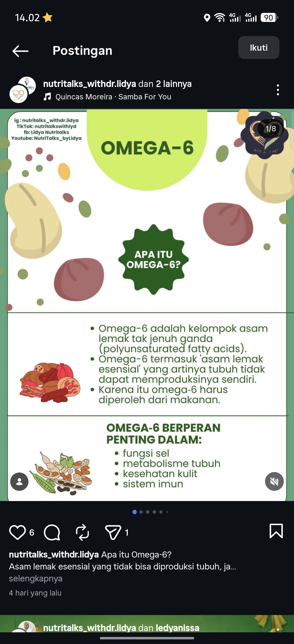 Apa itu Omega 6?